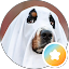 Constantine Pan Avatar